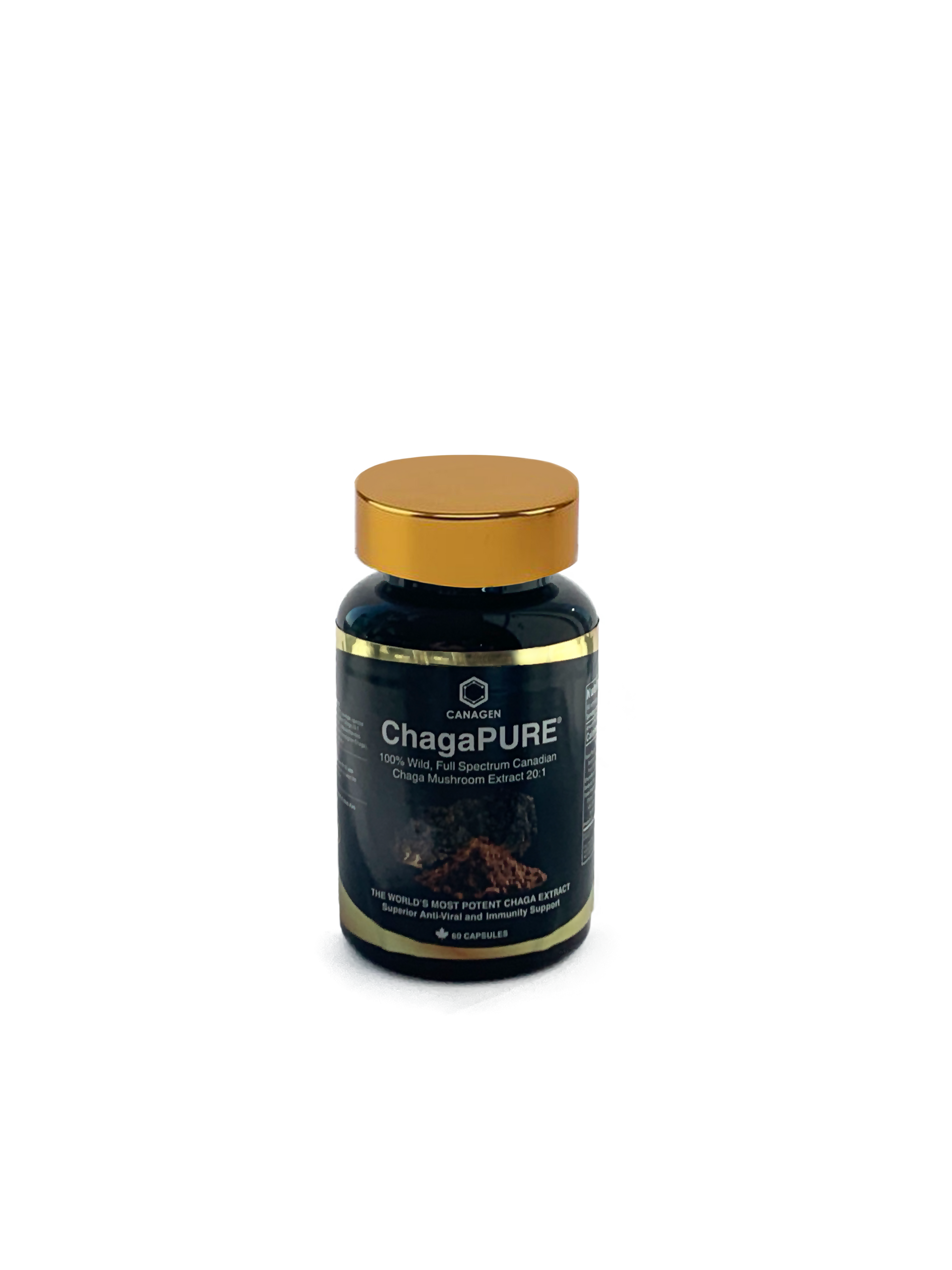ChagaPURE® Extract